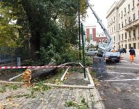 Vento forte a Pescara: albero si abbatte su auto, donna finisce in ospedale col femore rotto