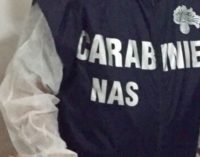 Ristorazione: i carabinieri del Nas sospendono quattro attività