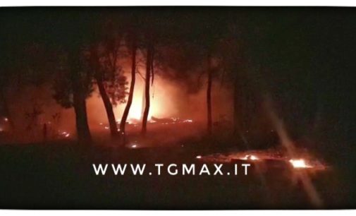 Inferno di fuoco sulla costa d’Abruzzo, attacco di piromani