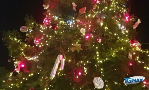 Lanciano: acceso l’albero di Natale in piazza Plebiscito