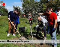 Lanciano: Memorie per la pace affida tre alberi di ulivo ai ragazzi del quartiere