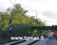 Lanciano – San Vito, tratta ferroviaria interrotta: albero abbatte linea elettrica, tecnici al lavoro