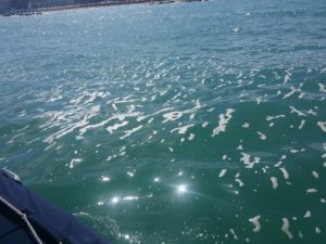 Pescara, mare inquinato
