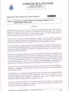 Ordinanza cinghiali pag1