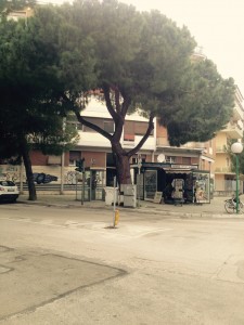 albero via muzii