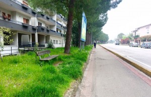 degrado_167_