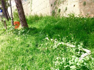 degrado_torrione1