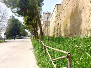 degrado_torrione2