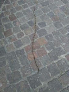 processionaria3