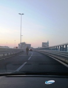 Cavallo asse attrezzato pescara