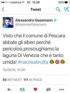 Tweet Gassmann