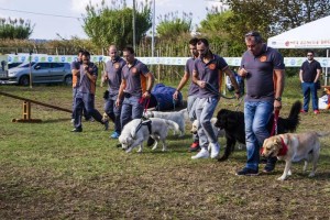 Sea rescue dog, campo addestramento unità cinofile a Ortona (Chieti)