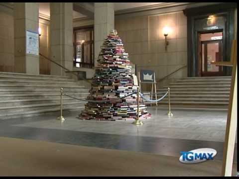 3 metri di libri con l’albero della cultura