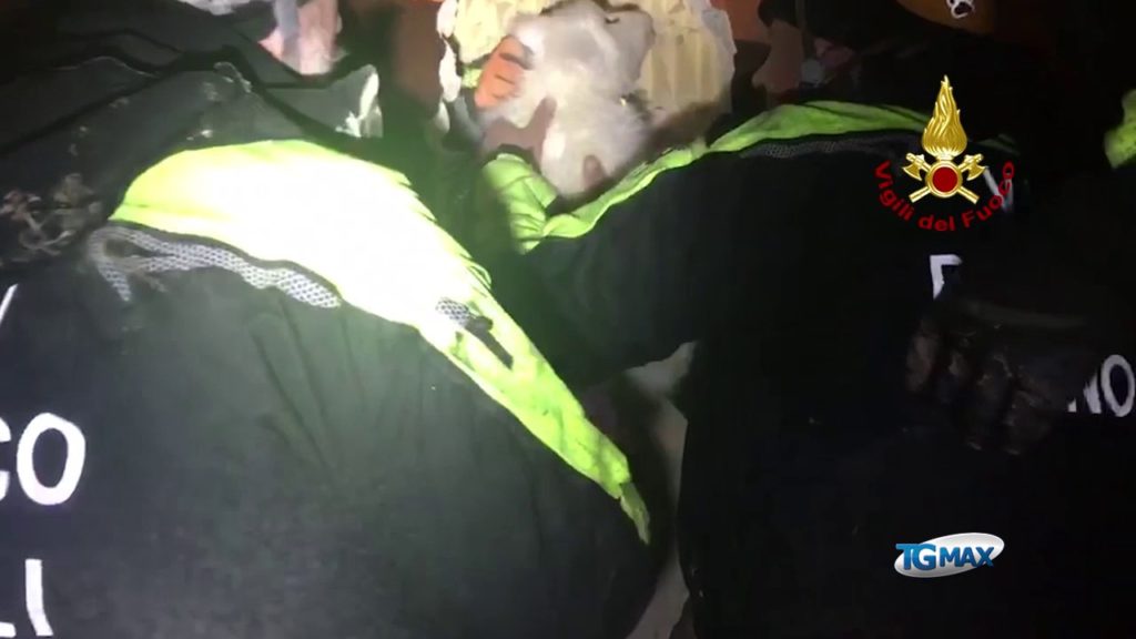 A Rigopiano i Vigili del fuoco salvano i cuccioli di Lupo e Nuvola, le immagini