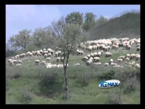 Agricoltura, nuovi bandi per aree interne