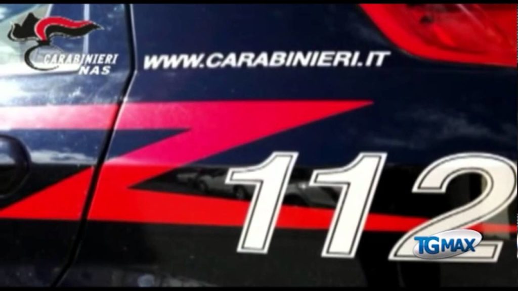 Allevamenti bovini: ispezioni e controlli dei Nas
