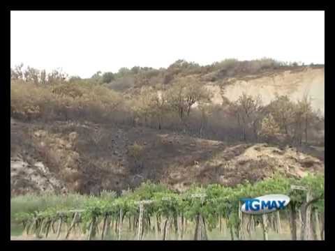 Altino, 70 ettari incendiati da piromani