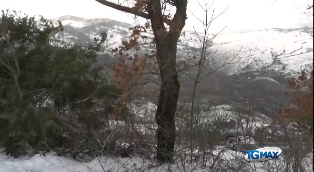 Blackout elettrico in Abruzzo, tralicci caduti a Roccascalegna