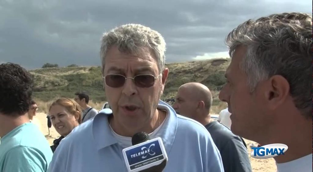 Capodogli, trauma da attività in mare