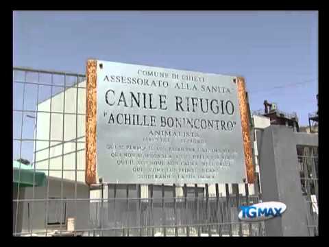 Chieti, il canile non chiude