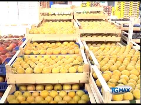 Crisi al mercato ortofrutticolo di Villanova