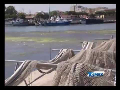 Dragaggio, convocati martedì a Roma