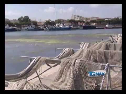 Dragaggio, le proposte di Wwf e pescatori