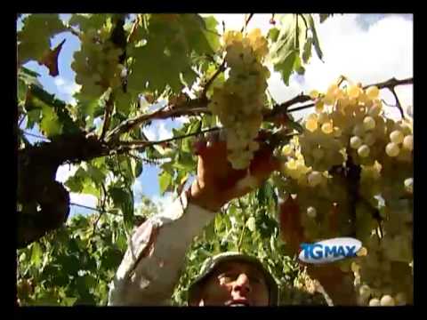 Due giorni con Anteprima montepulciano d’Abruzzo