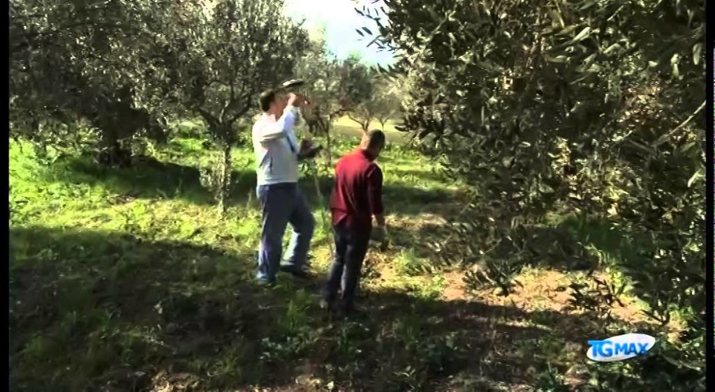 Elettrodotto Terna, la protesta a Castel Frentano