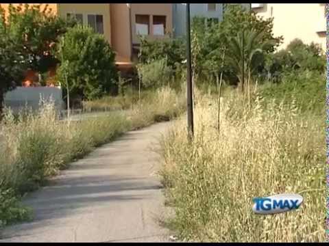 Erbacce e incuria al quartiere S.Rita di Lanciano