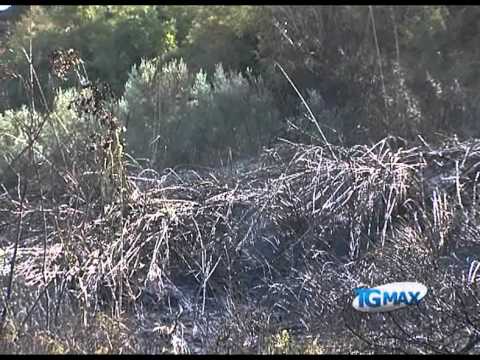Fossacesia, incendio a Punta Cavalluccio