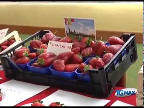 Fragola, ecco la varietà Francavilla