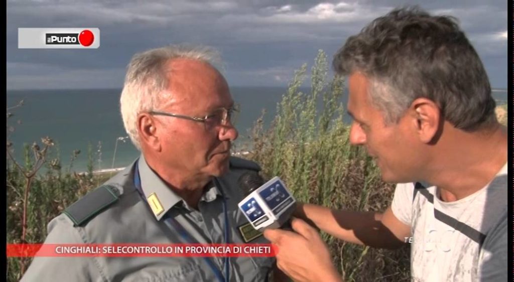 Il Punto “Cinghiali: selecontrollo nella provincia di Chieti”