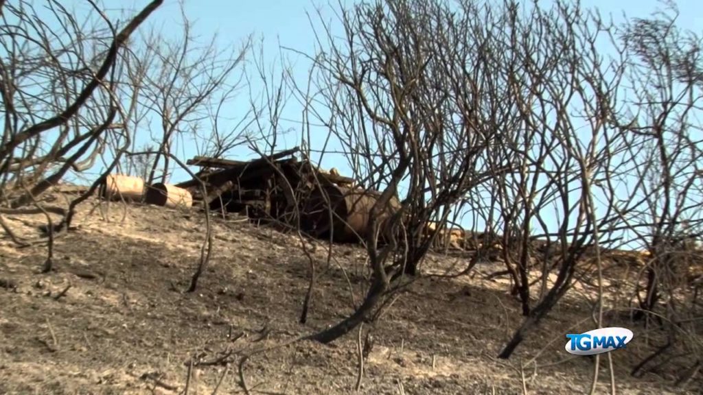 Incendi nel Frentano, è allarme piromani