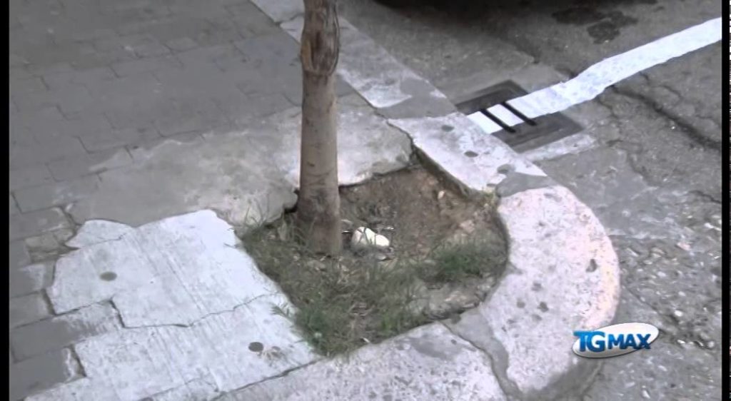 Lanciano, topi in centro