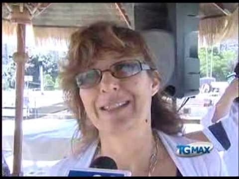 LE ISTRUZIONI PER VIAGGIARE CON CANI E GATTI