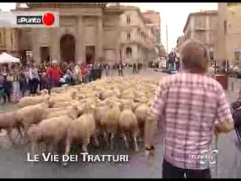 Le Vie dei Tratturi promo