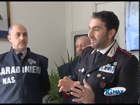Maxi sequestro mangimi e carni, sospese 5 società