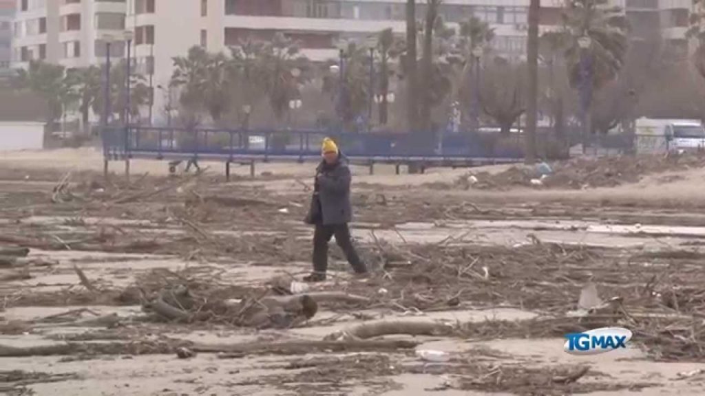 Montesilvano, si fa legna in spiaggia