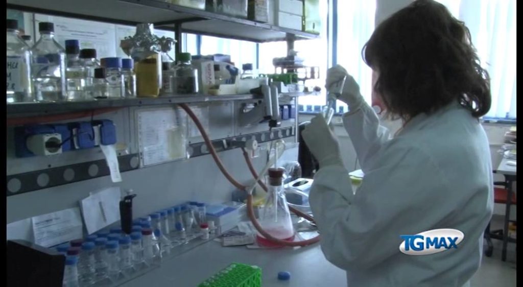 Negri sud, dalla crisi emerge un giovane talento