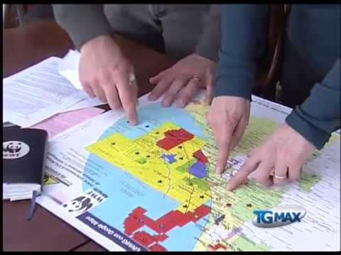 Ombrina mare: Wwf, alto rischio statistico perdite