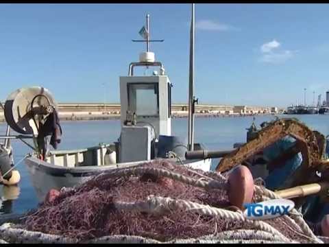 Ortona, fondi per le vongolare