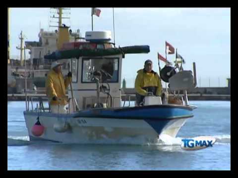 Ortona: marineria verso il fermo