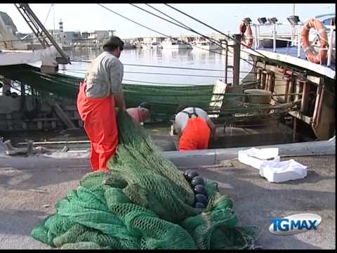 Pesca: Coldiretti, scongiurare chiusura “Pomo”