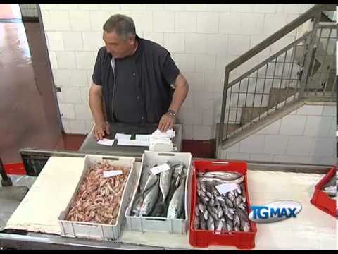 PESCA: DA OGGI AL VIA IL FERMO BIOLOGICO
