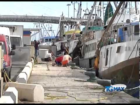 PESCA: MINISTERO SBLOCCA 30 MLN PER CIG