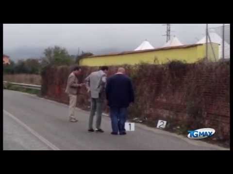 Pirata della strada: credevo fosse un animale