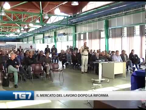 TG7 21 ottobre 2012
