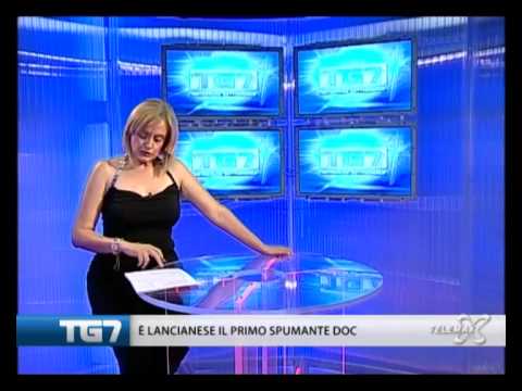 TG7 28 luglio 2012