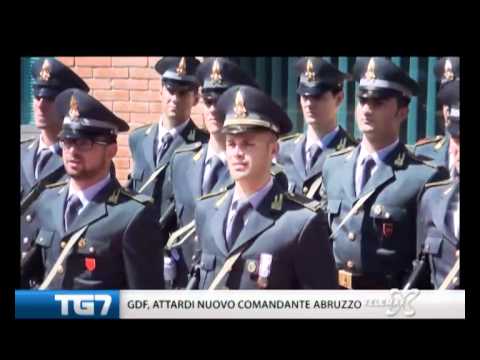 TG7 8 luglio 2012